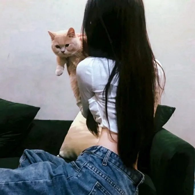 糊涂丘八 在线观看